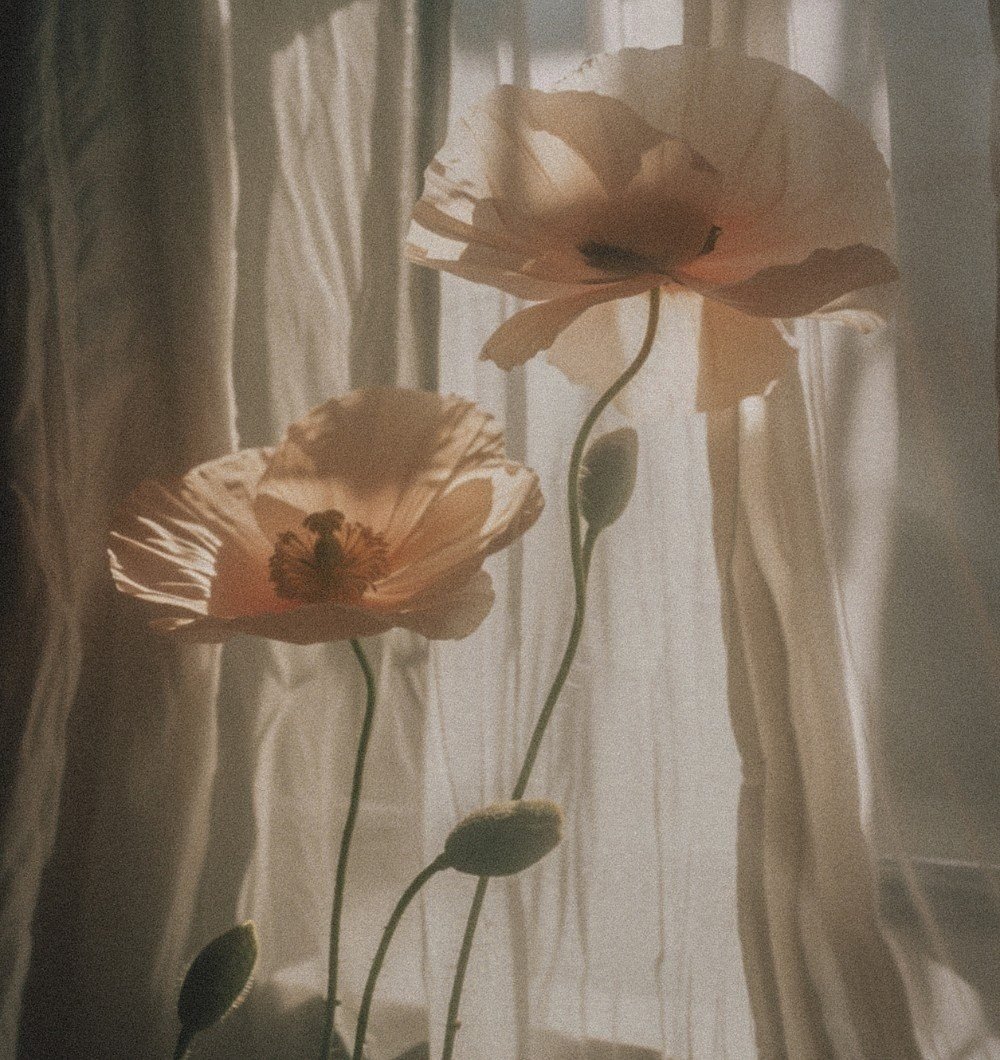 Elisa-home-images4-1.jpg